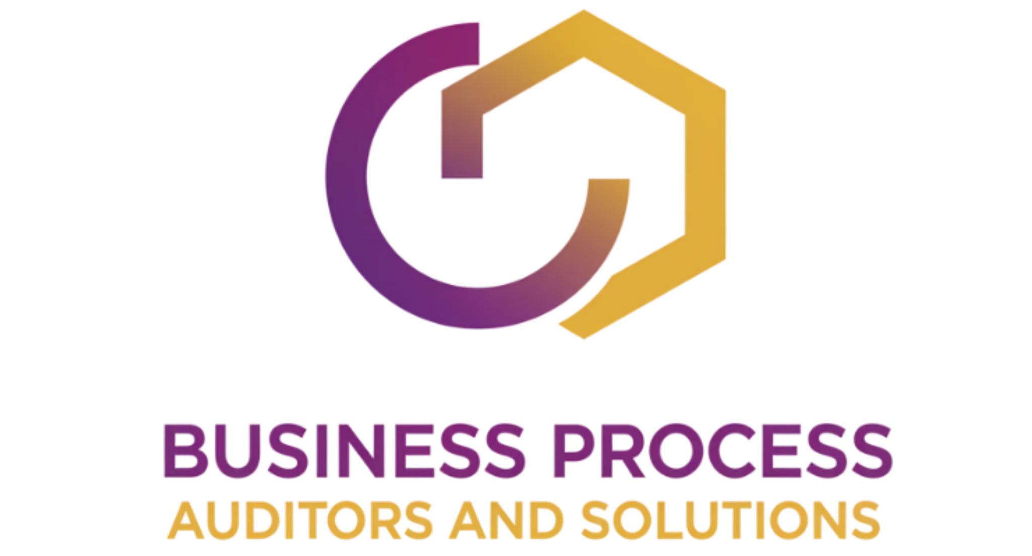 Business Process Auditors and Solutions
